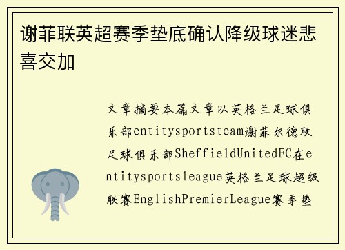 谢菲联英超赛季垫底确认降级球迷悲喜交加 谢菲联英超赛季垫底确认降级球迷悲喜交加